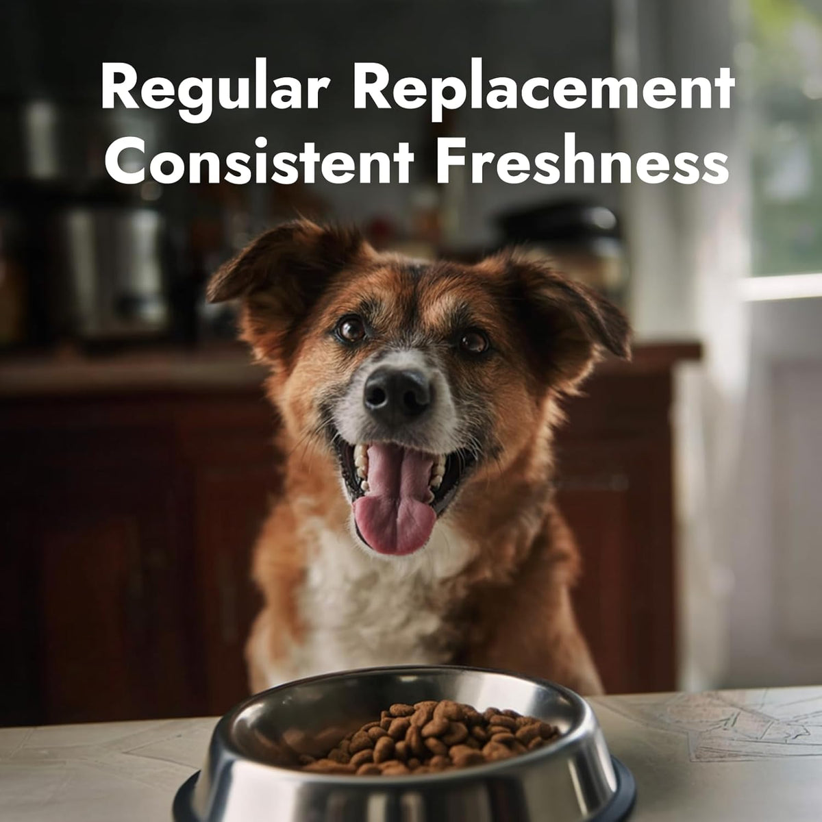 Pet Food Desiccant Packs for Smart Feeders — 5 Pack