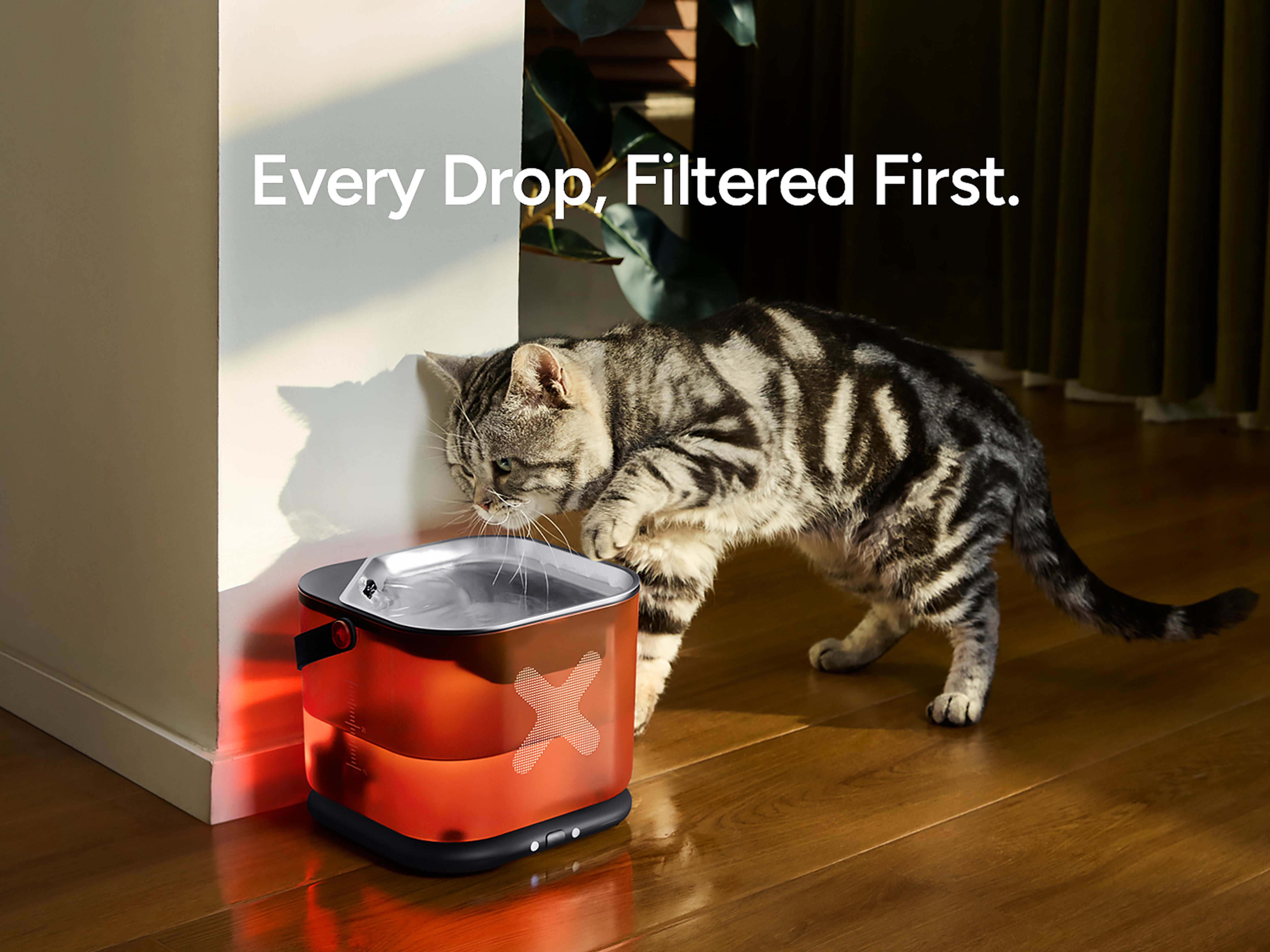 Pet Water Fountains