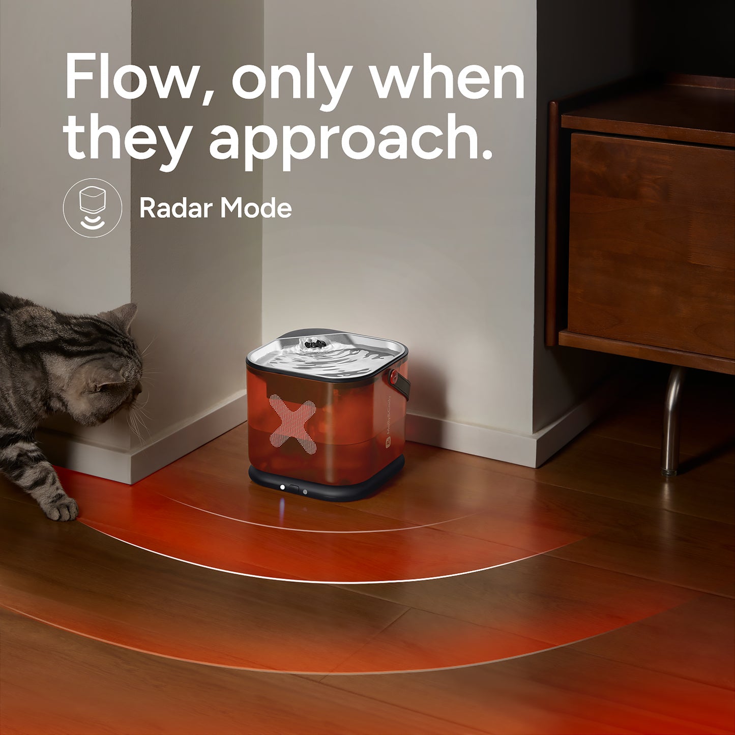 Cordless Water Fountain