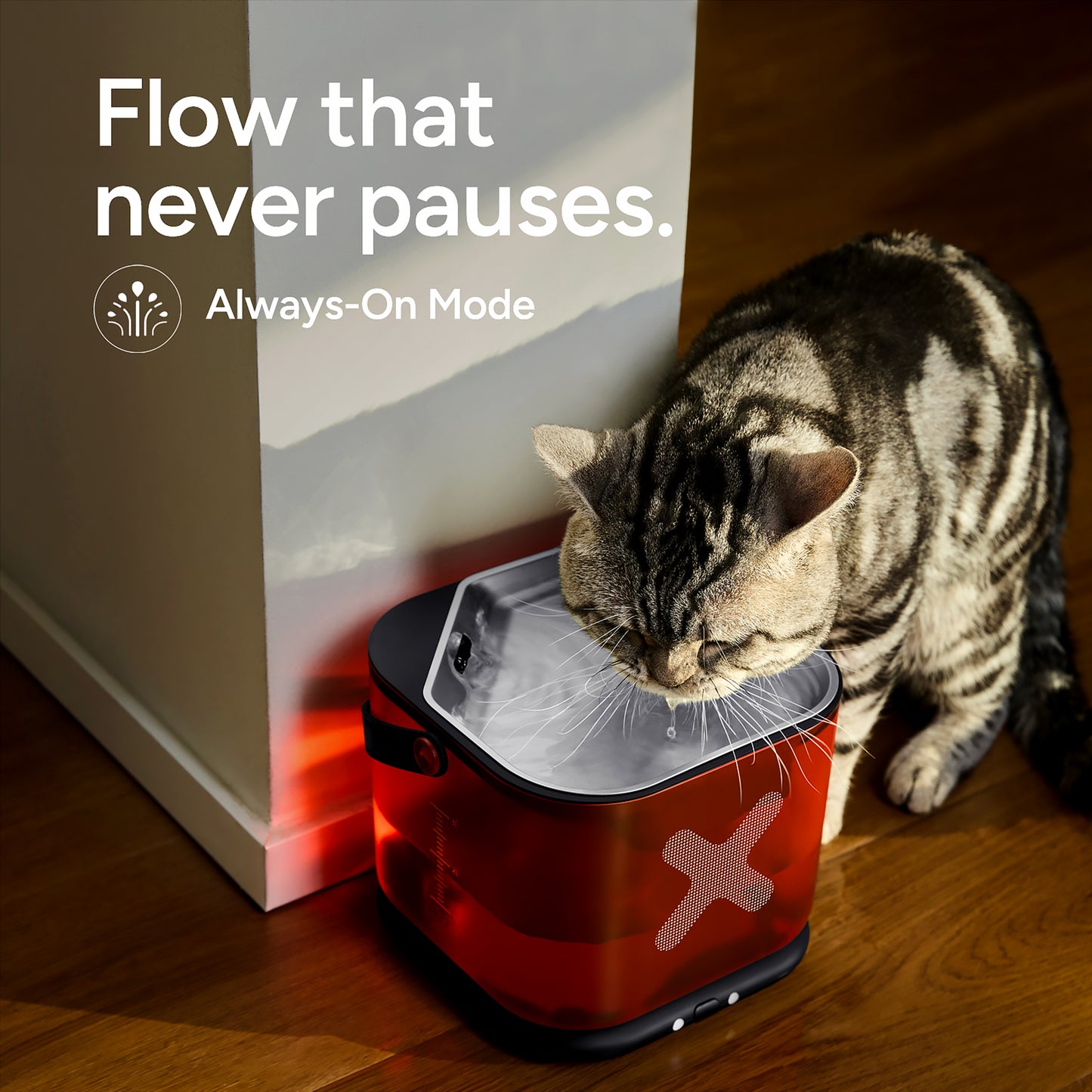Cordless Water Fountain