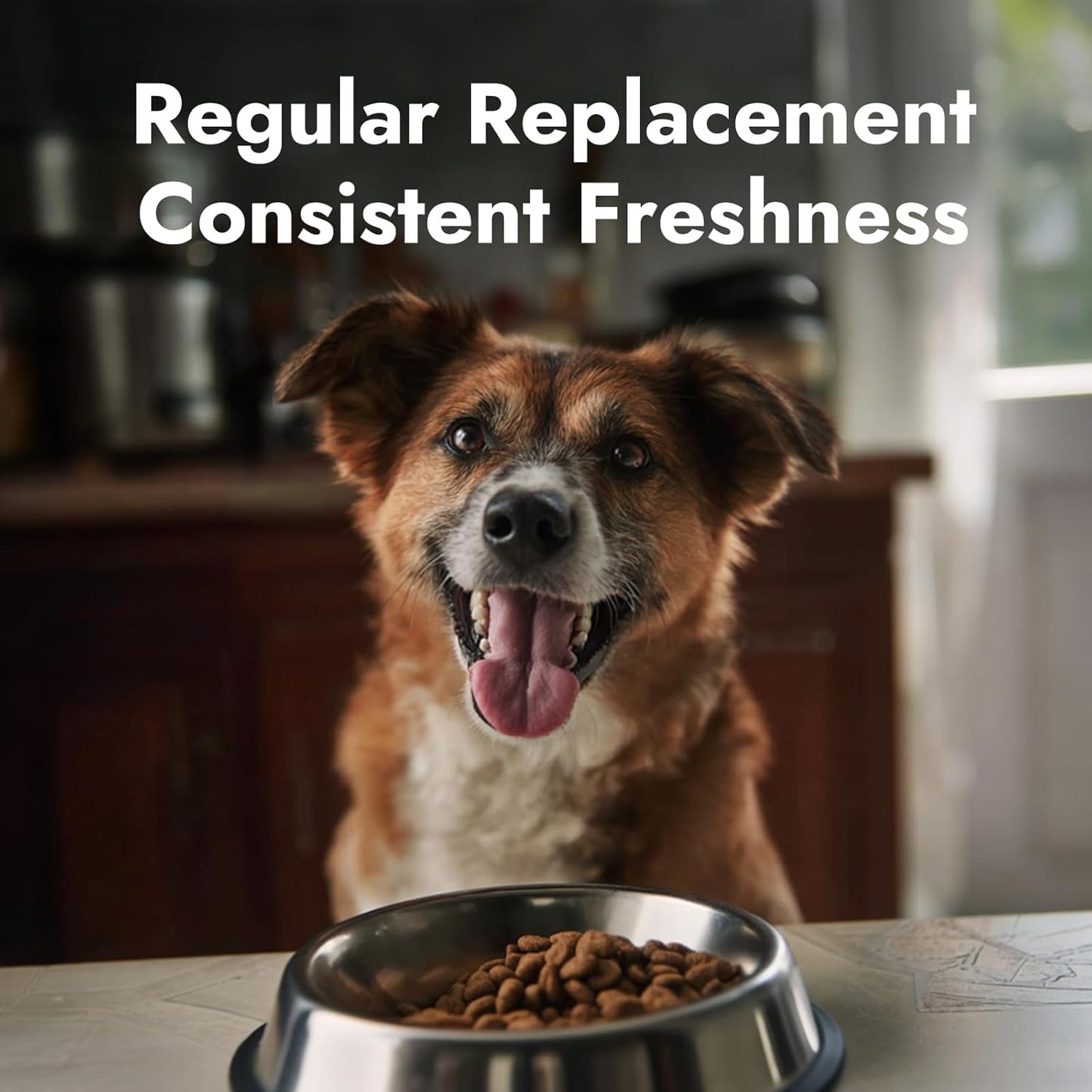Pet Food Desiccant Packs for Smart Feeders — 5 Pack