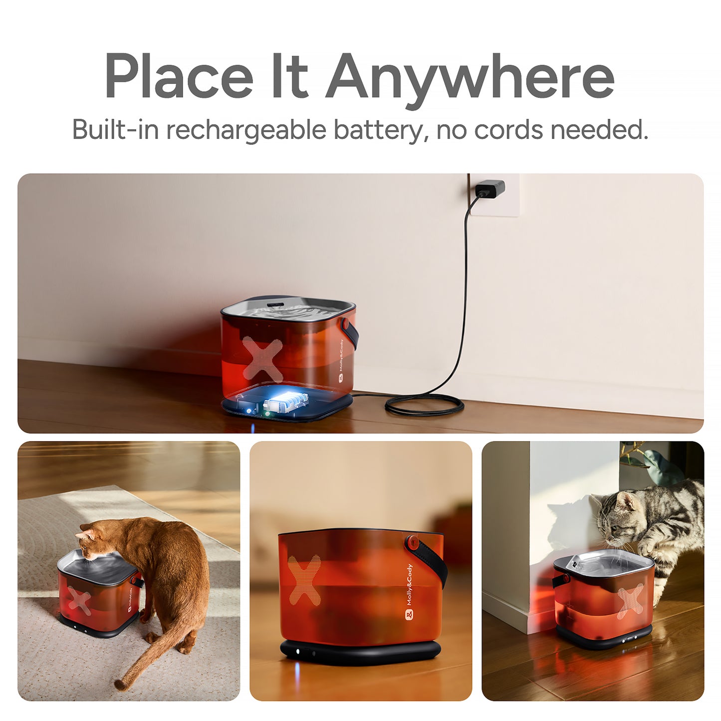 Cordless Water Fountain