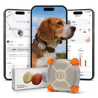 Gold Tracker T1 GPS pet tracker with real-time location tracking app