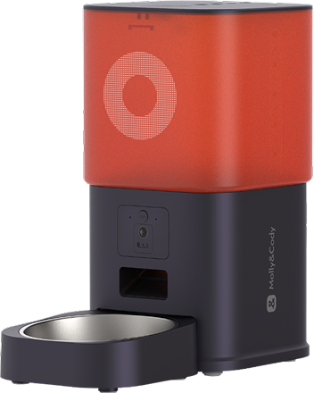 Smart Feeder 6L Camera