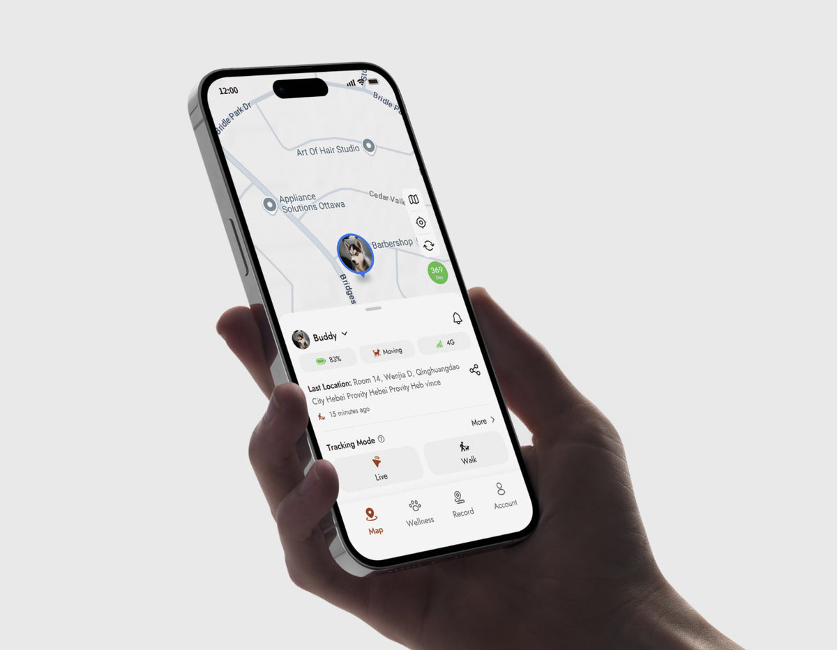 App