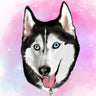 meekathehuskyy